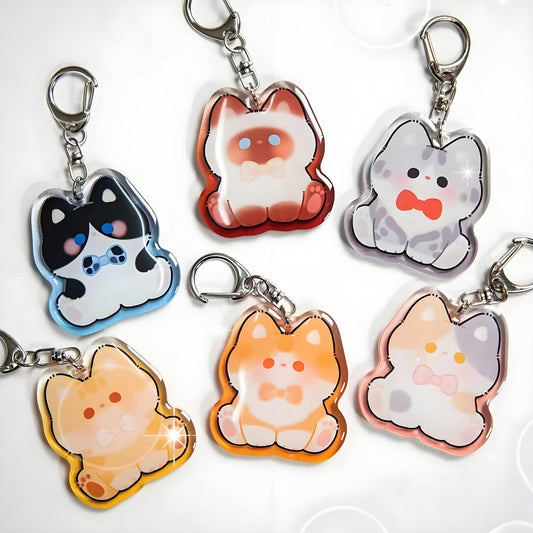Custom Clear Acrylic Keychains Double Sided Different Design